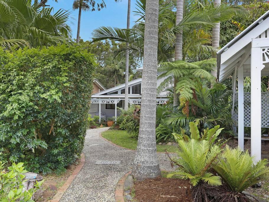 Palmberry Wooloweyah -yamba- Ljhooker *